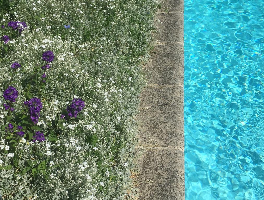 Fleurs De Vignes Piscine Bed & Breakfast Montagny-les-Beaune Exterior photo